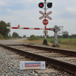 Load image into Gallery viewer, Bihar Sujani - Phatak | 100% Handloom Mulmul | Limited Edition