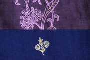 Comparison of Aari and Sozni embroidery on textile, where Aari’s continuous flowing stitch contrasts with Sozni’s fine, precise needlework in Kashmiri embroidery traditions.