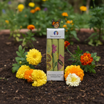 Load image into Gallery viewer, Bihar Sujani - Madhurya | 100% Khadi | Limited Edition