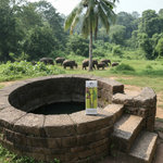 Load image into Gallery viewer, Bihar Sujani - Prakriti | 100% Khadi | Limited Edition