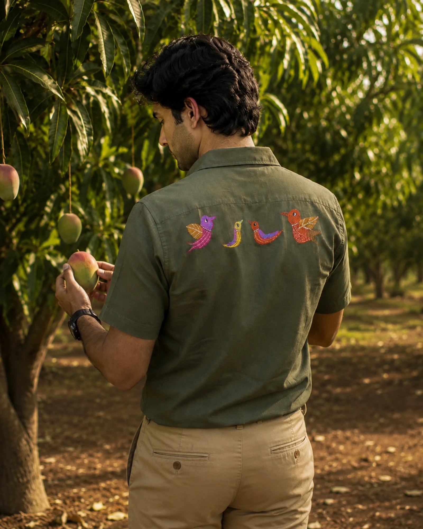 Gond hand-painted linen shirt featuring four bird forms arranged horizontally across the back, photographed within a mango orchard setting while inspecting mango fruits in warm natural light.